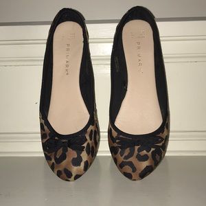 Cheetah Flats